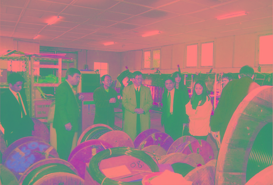 公司领导考察德国GESO公司